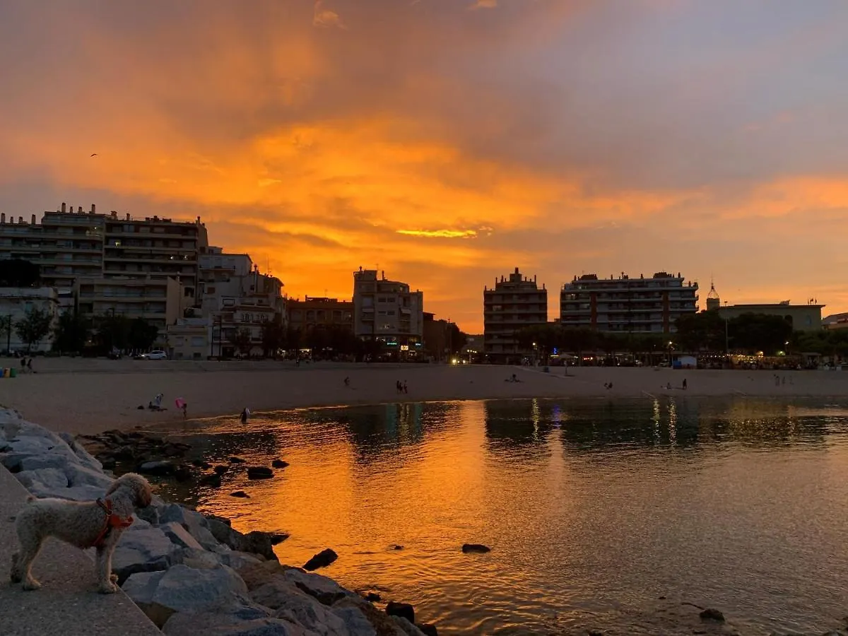 Appartement Notaria-Apartamento Y Estudio En Casco Antiguo, Al Lado De Playa, Rambla Y Monasterio, Con Acceso A Terraza Ajardinada Sant Feliu de Guíxols